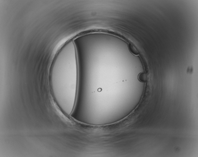 X0000110670791200906121100