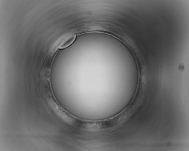 X0000110670793200906121100