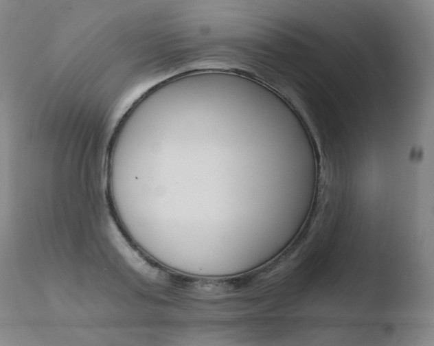 X0000110670795200906121100