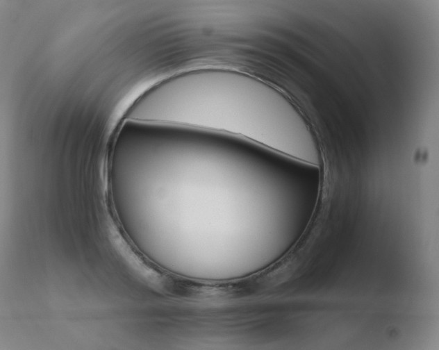 X0000110670796200906121100
