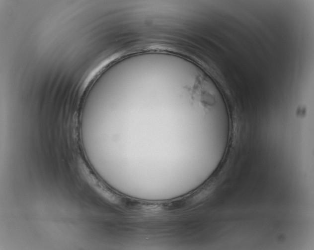 X0000110670798200906121100