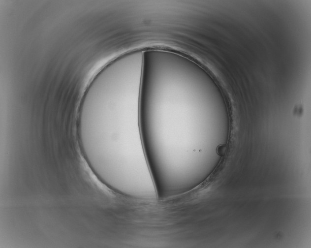 X0000110670799200906121100