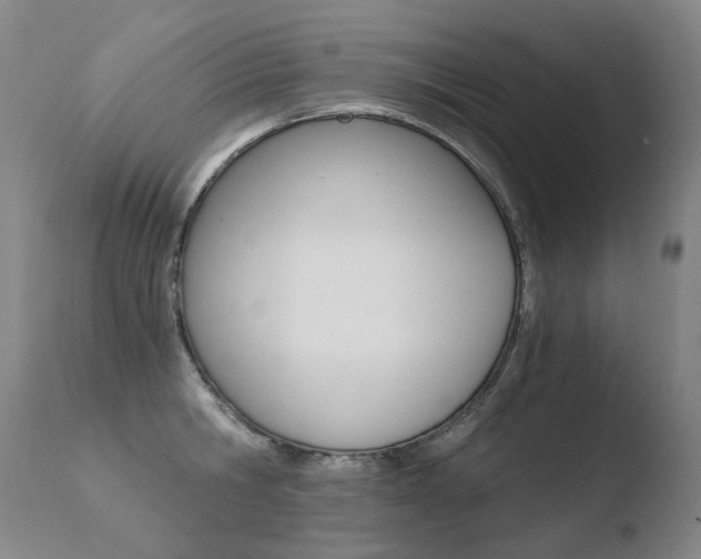 X0000110670806200906121100