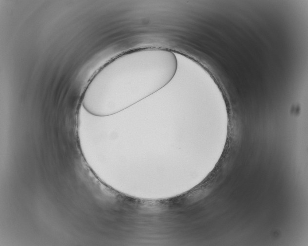 X0000110670807200906121100