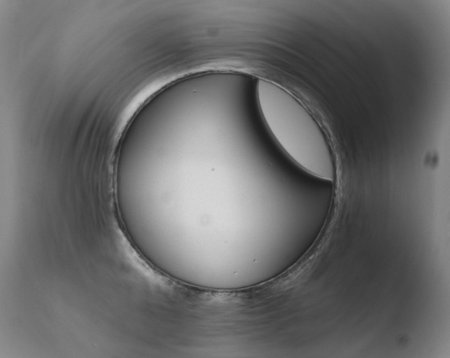 X0000110670808200906121059