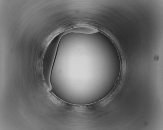 X0000110670809200906121059