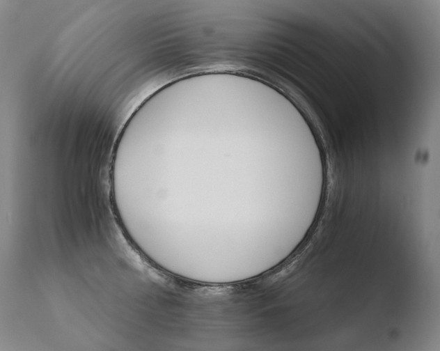 X0000110670810200906121059
