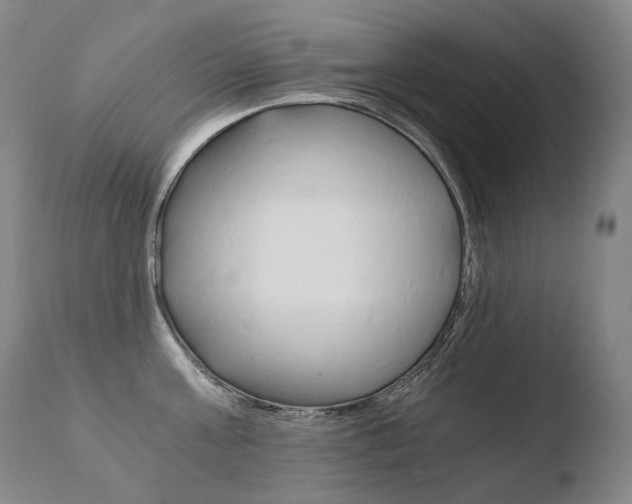X0000110670811200906121059