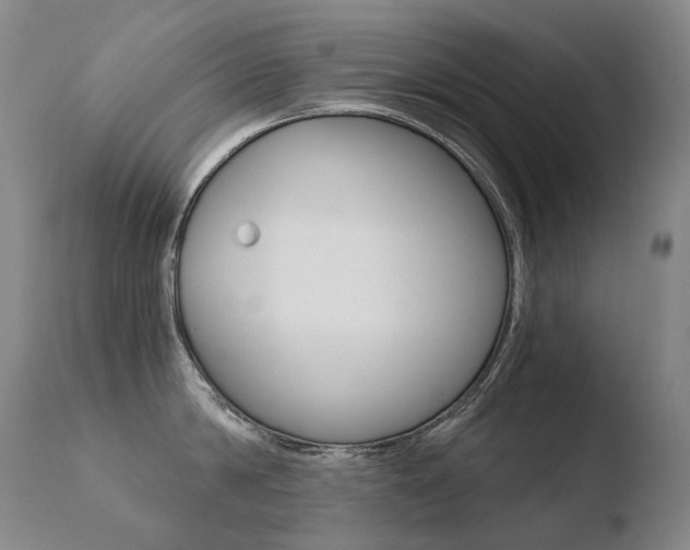 X0000110670814200906121059