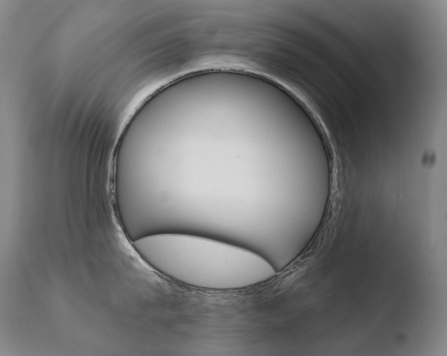 X0000110670815200906121059