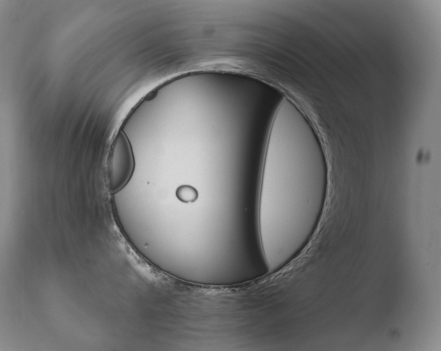 X0000110670816200906121059