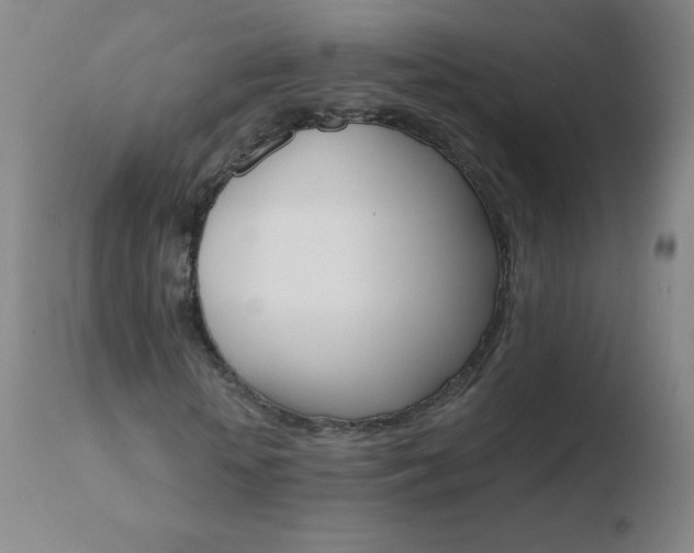 X0000110670818200906121058