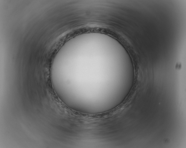 X0000110670821200906121058