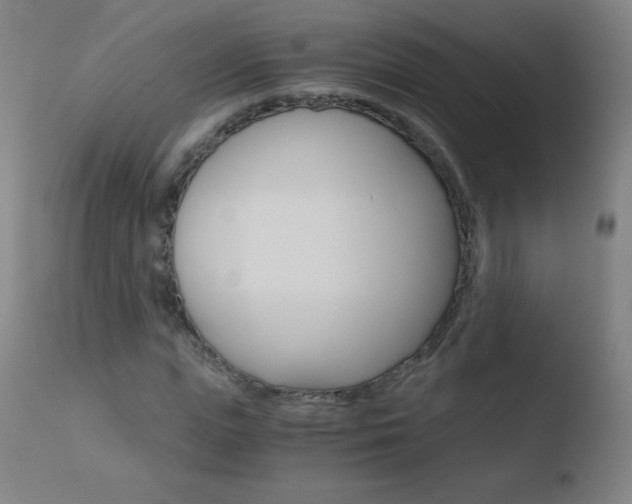 X0000110670823200906121058