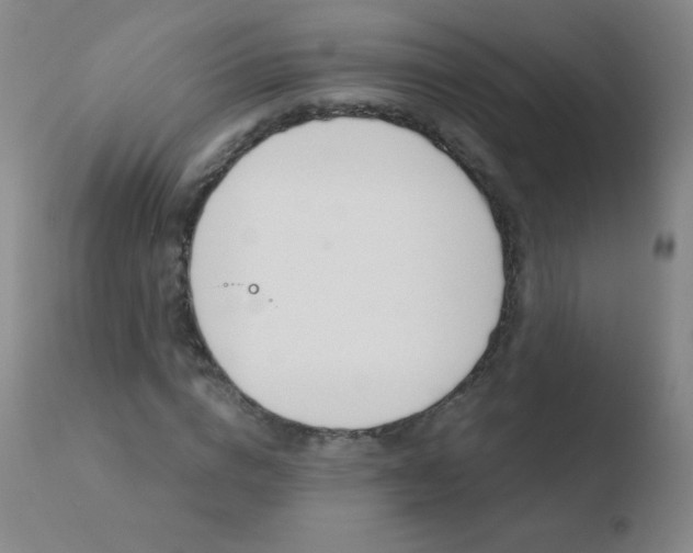 X0000110670824200906121058