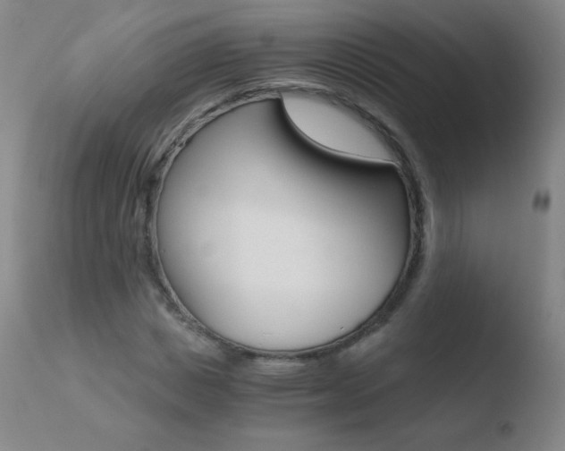 X0000110670825200906121058