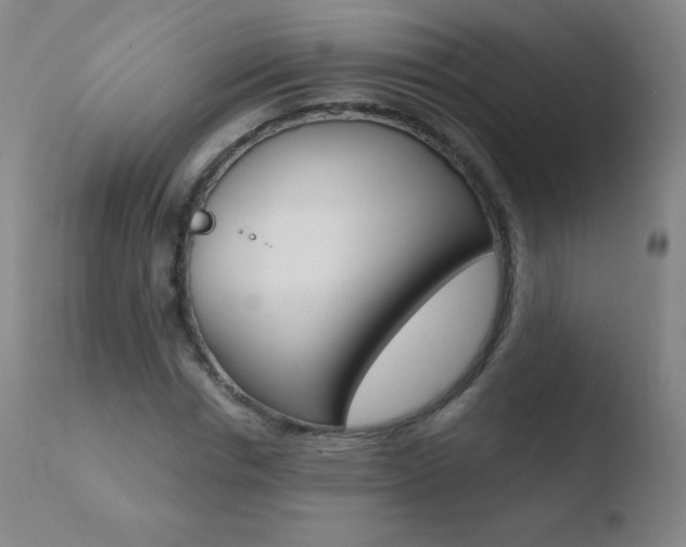 X0000110670826200906121058