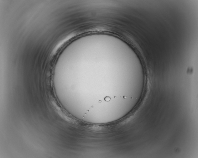 X0000110670827200906121058