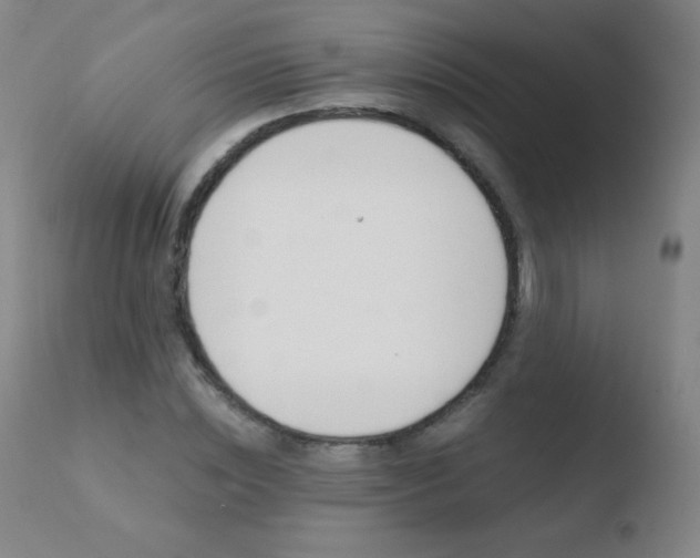 X0000110670828200906121058