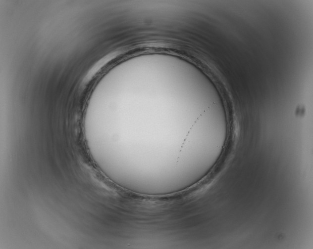 X0000110670829200906121058