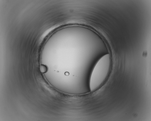 X0000110670830200906121058