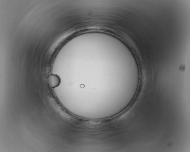 X0000110670831200906121058