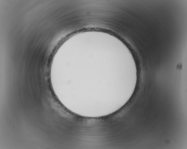 X0000110670832200906121058