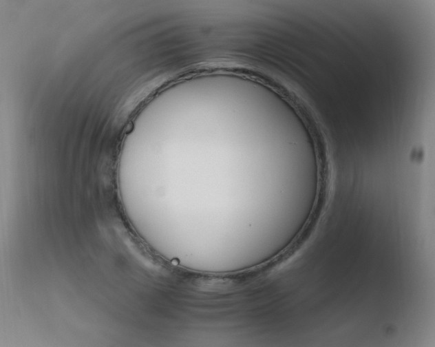 X0000110670833200906121058