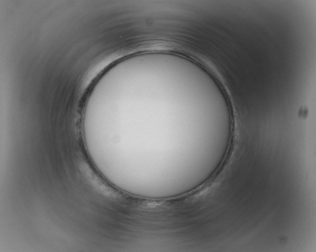 X0000110670835200906121059