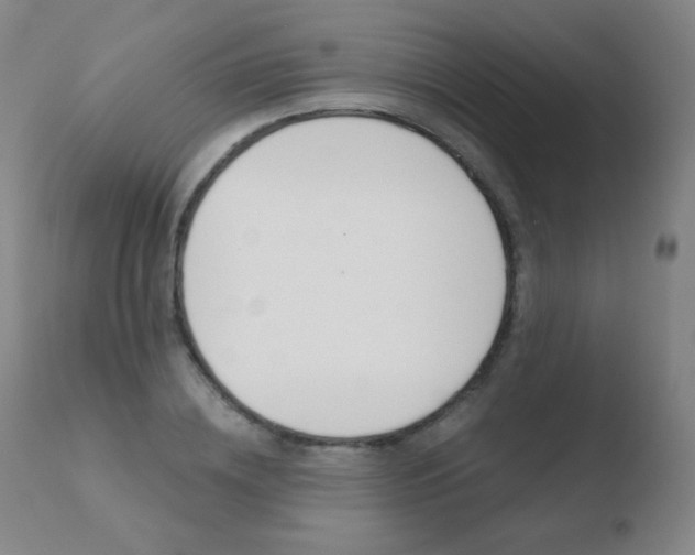 X0000110670836200906121059