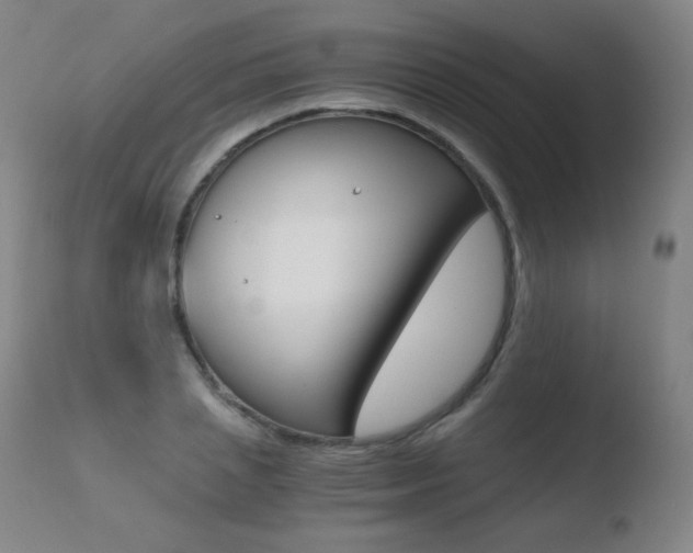 X0000110670837200906121059