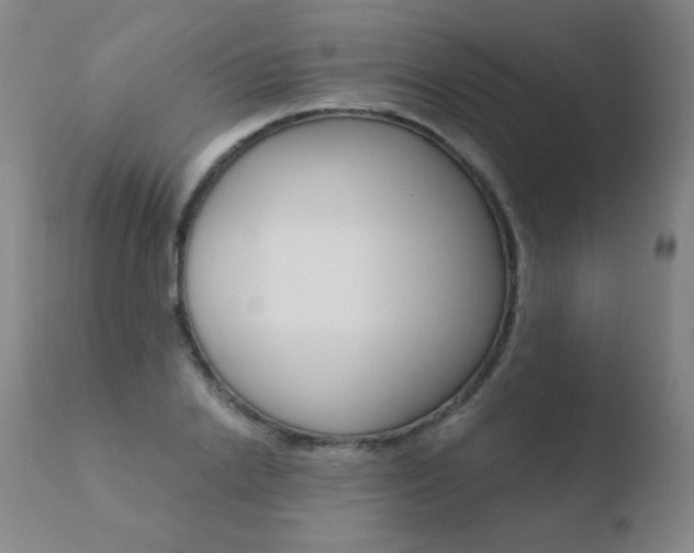 X0000110670838200906121059