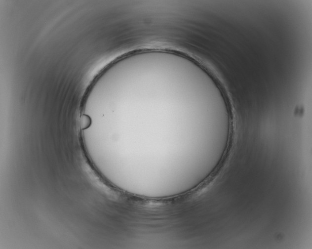 X0000110670839200906121059