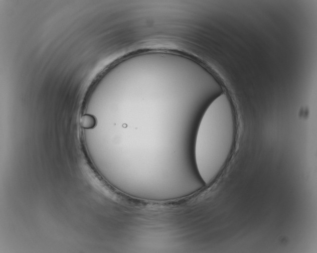 X0000110670840200906121059