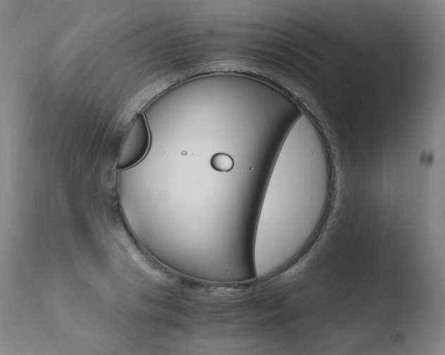 X0000110670841200906121059