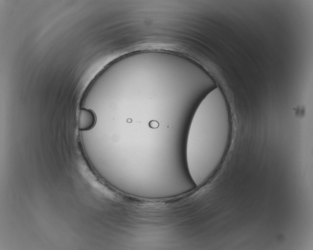 X0000110670844200906121059