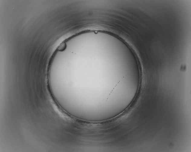 X0000110670845200906121059