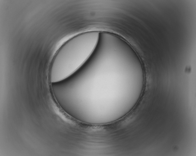 X0000110670846200906121059