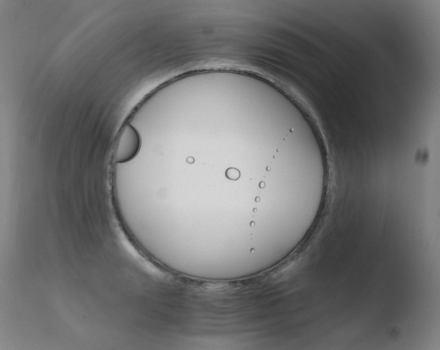 X0000110670847200906121059