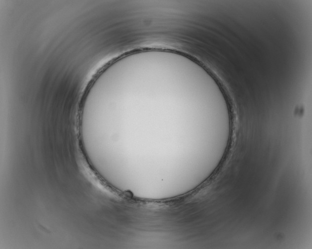 X0000110670848200906121059