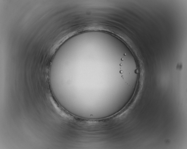X0000110670849200906121059