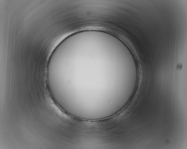 X0000110670852200906121059