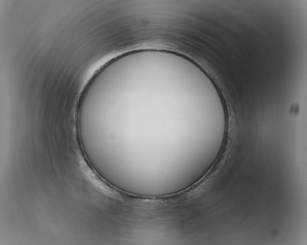 X0000110670854200906121059