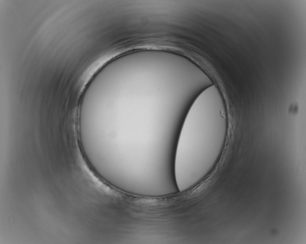 X0000110670855200906121059