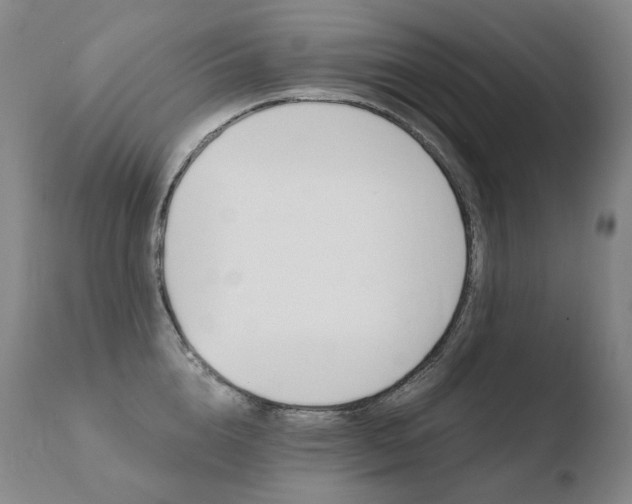X0000110670856200906121059