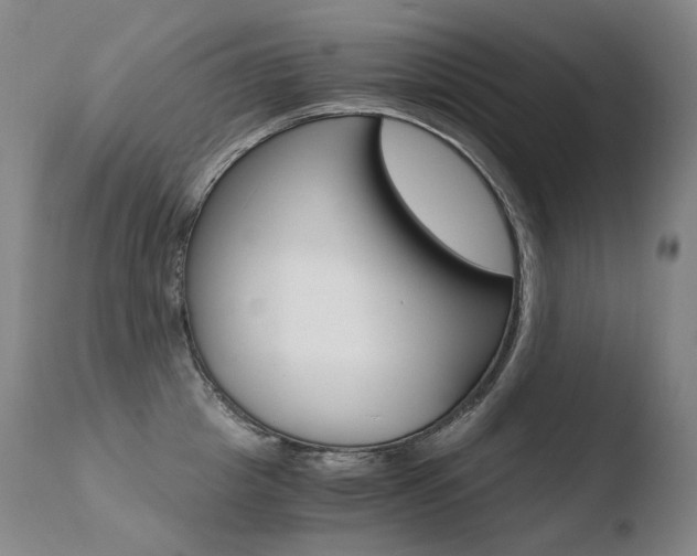 X0000110670857200906121059