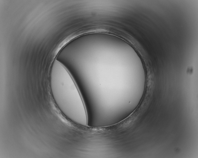 X0000110670858200906121059