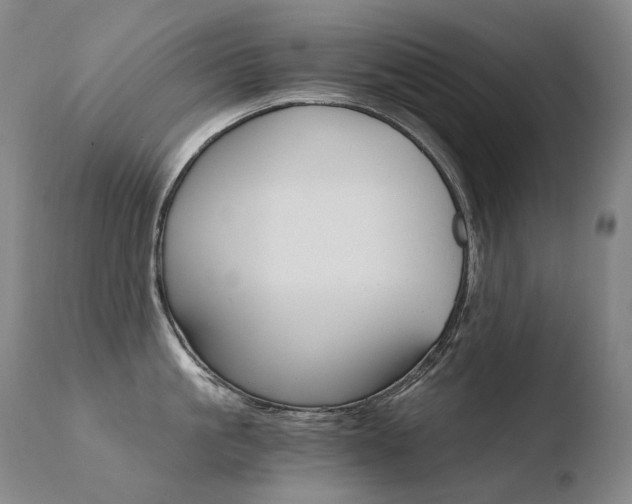 X0000110670861200906121059