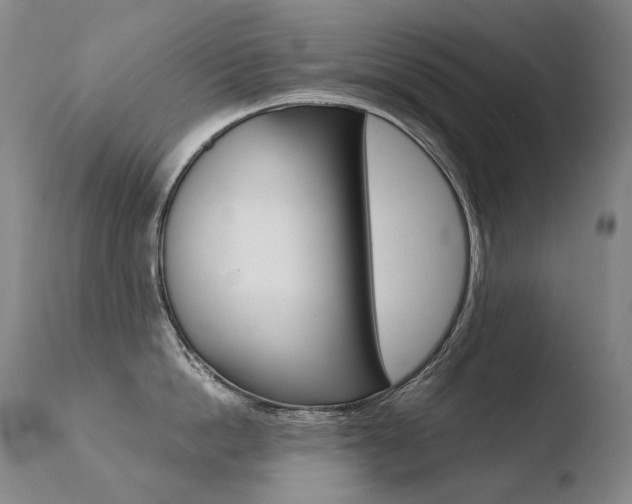X0000110670862200906121059