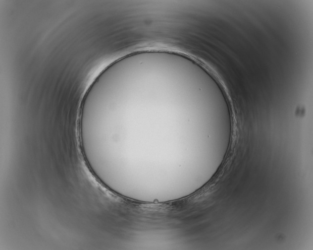 X0000110670863200906121059